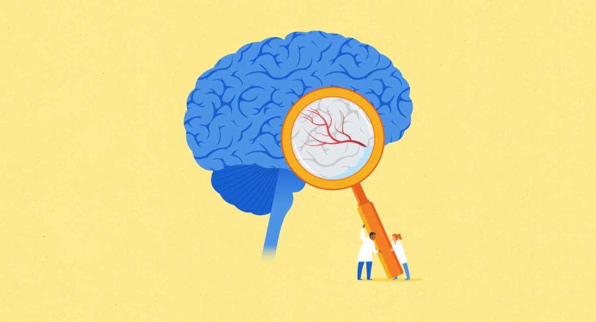 A conceptual illustration showing two scientists holding up a large magnifying glass to a brain, signaling to neurological study.