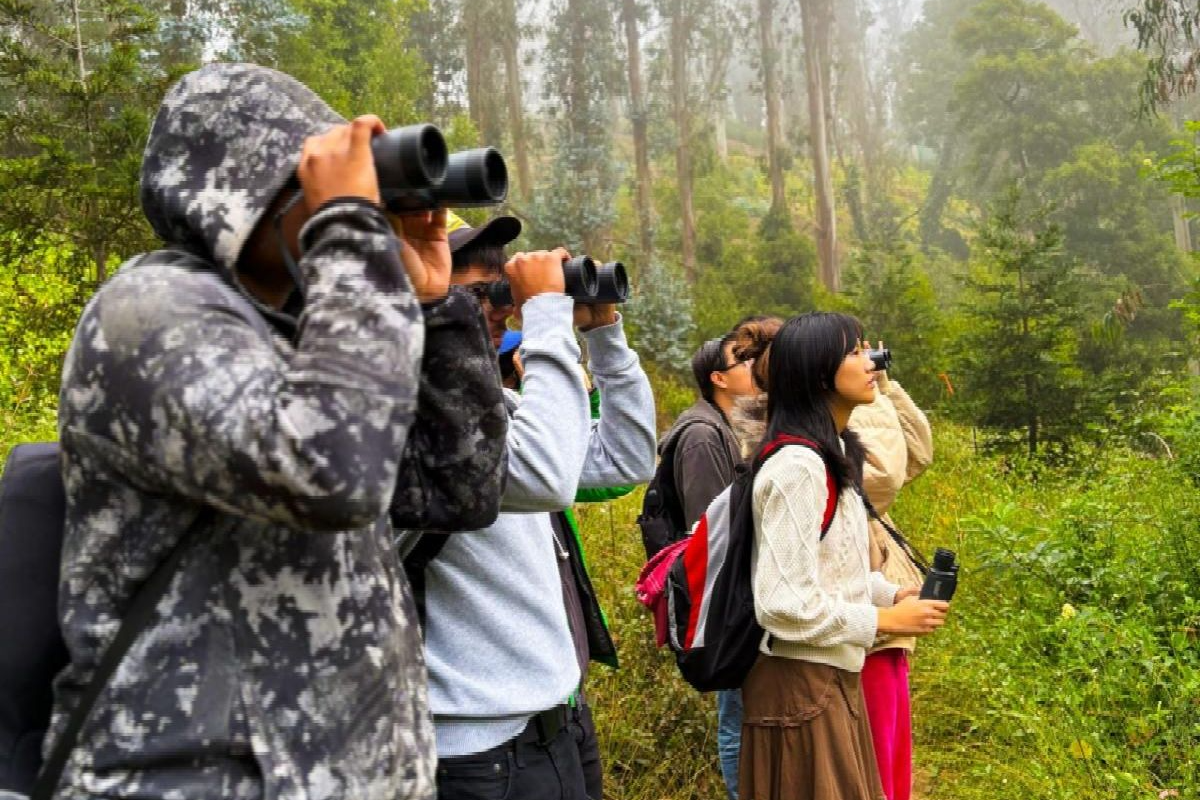 Group of people using binoculars to observe wildlife while standing on a trail surrounded by lush greenery and tall trees.
