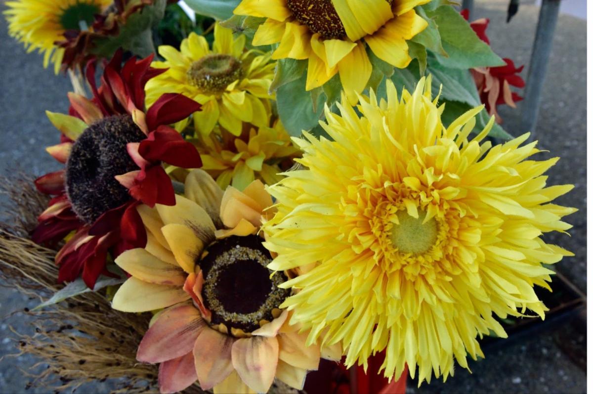A collection of cut sunflowers with assorted colors but largely dominated by yellow