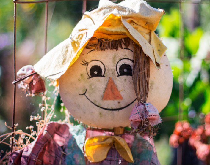 Master Gardeners Fall Garden Fair