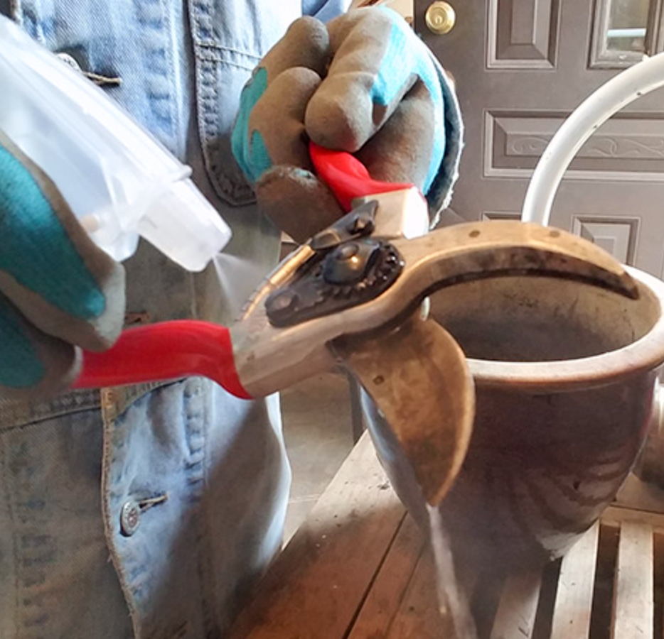 Pruners can be dipped or sprayed with disinfectant after cleaning.