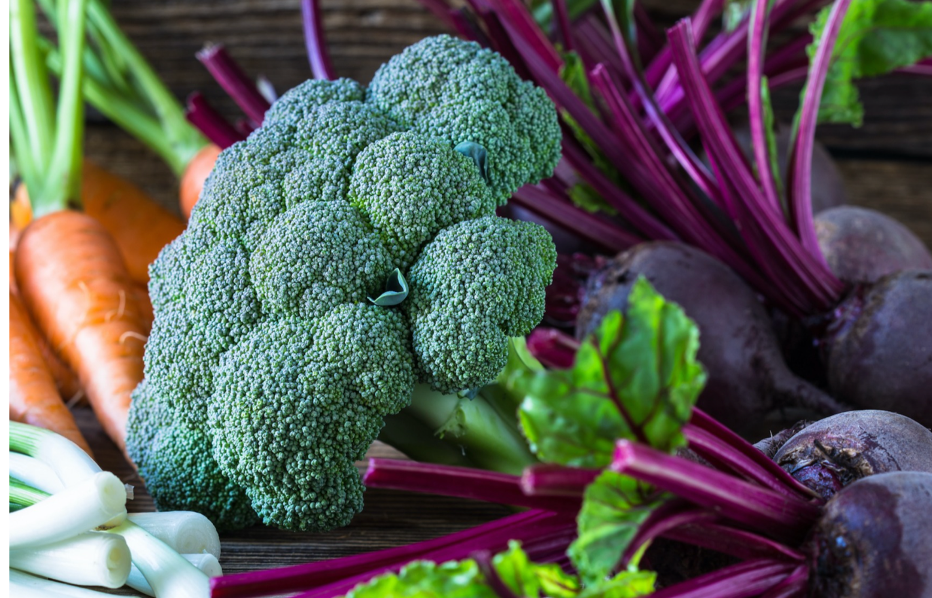Bright green head of broccoli with purple beets and orange carrots in the background