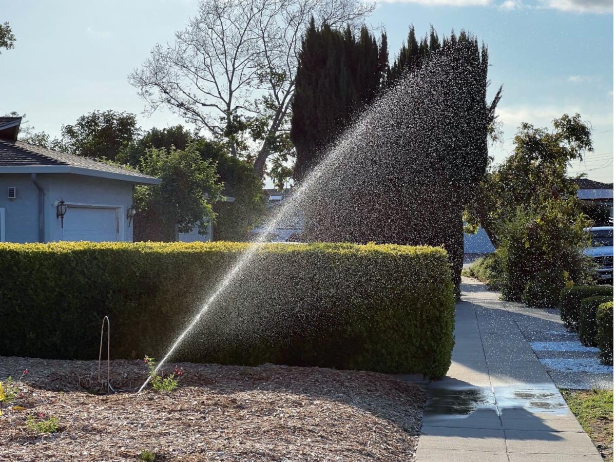 Broken irrigation system spraying water high into the air over a front yard