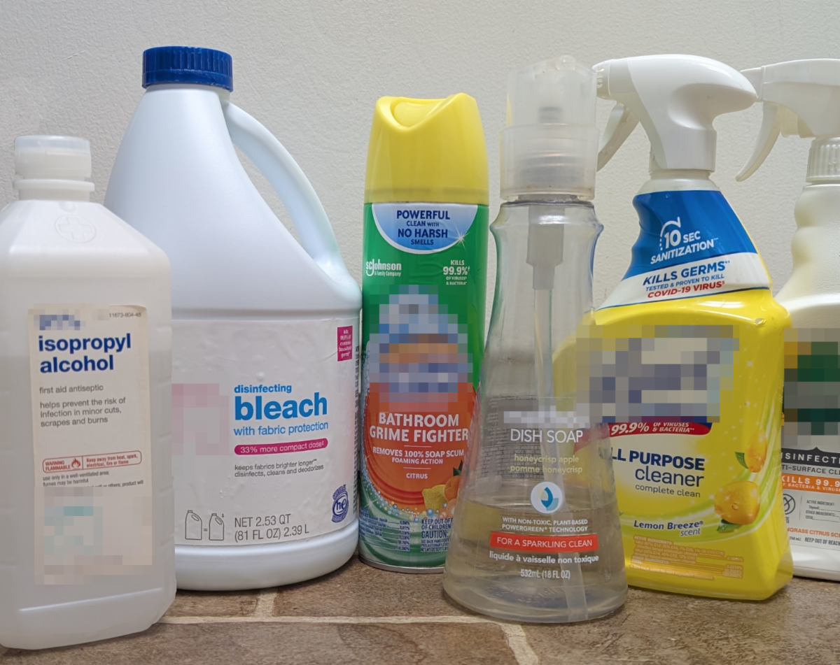 Household cleaning supplies at home