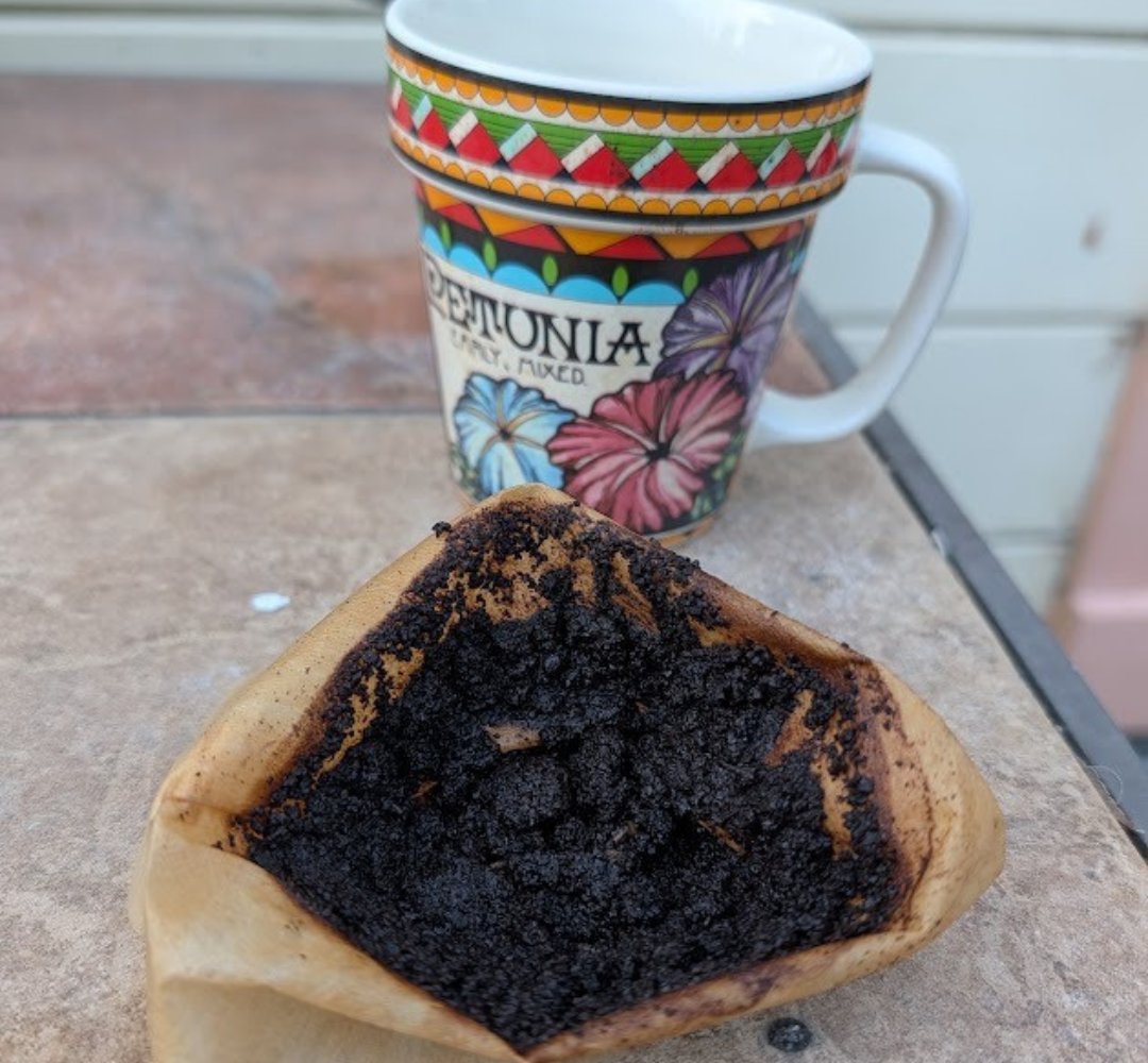 Spent coffee grounds in a wet paper filter in front of a cup.