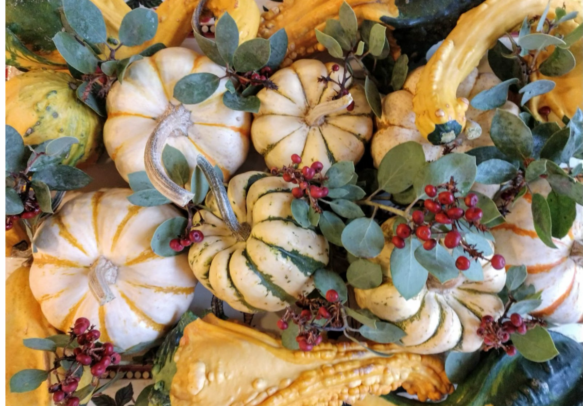 A variety of colorful gourds in many yellow shades complemented with greenery and red berries
