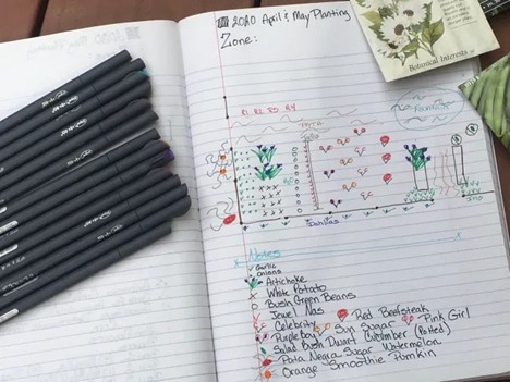 A vegetable garden plan with where plants will be planted, spacing and variety information