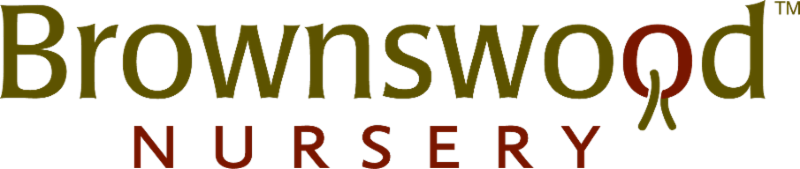 Brownswood Nursery Newsletter September 2017 Brownswood Nursery Newsletter