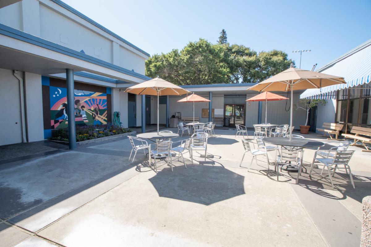 Summer Camp 2023 Staff Training Week details!