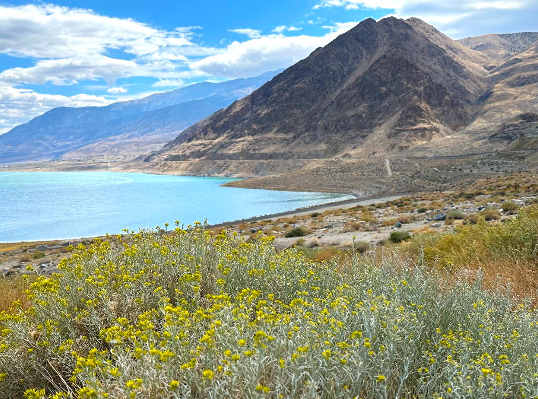 view of Walker Lake, Mineral County, Nevada