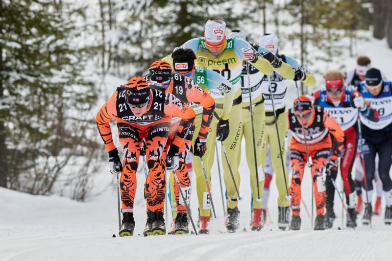 SkiPost Double Pole Technique