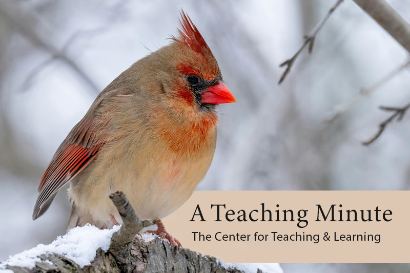 A Teaching Minute from the Center for Teaching and Learning