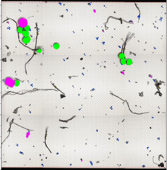 Microplastics Analysis