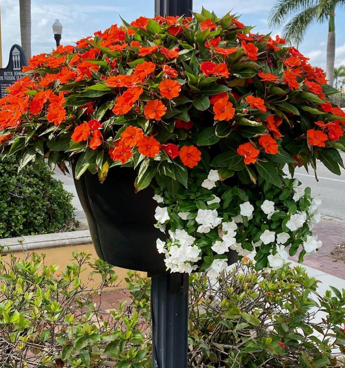 PGIB Downton planter