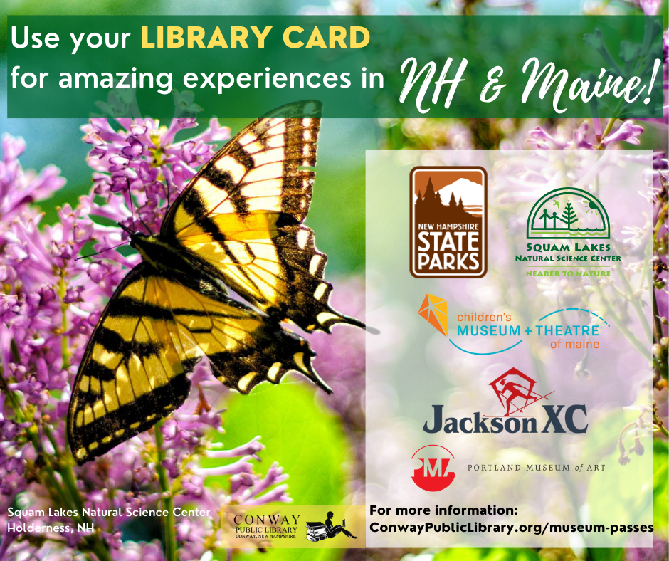 Conway Public Library November Newsletter