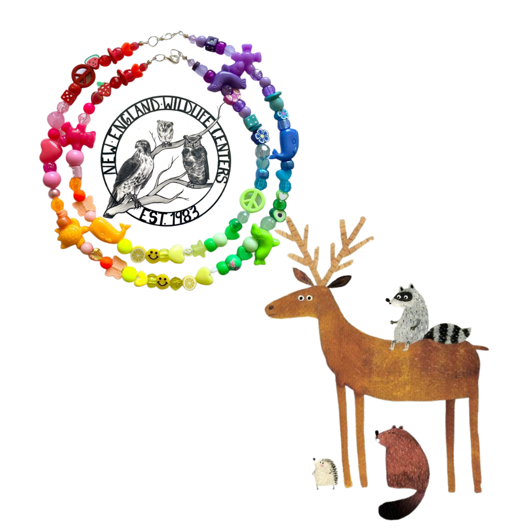 November 2022 Sturgis Library