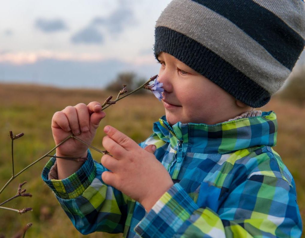 A child smells a flower