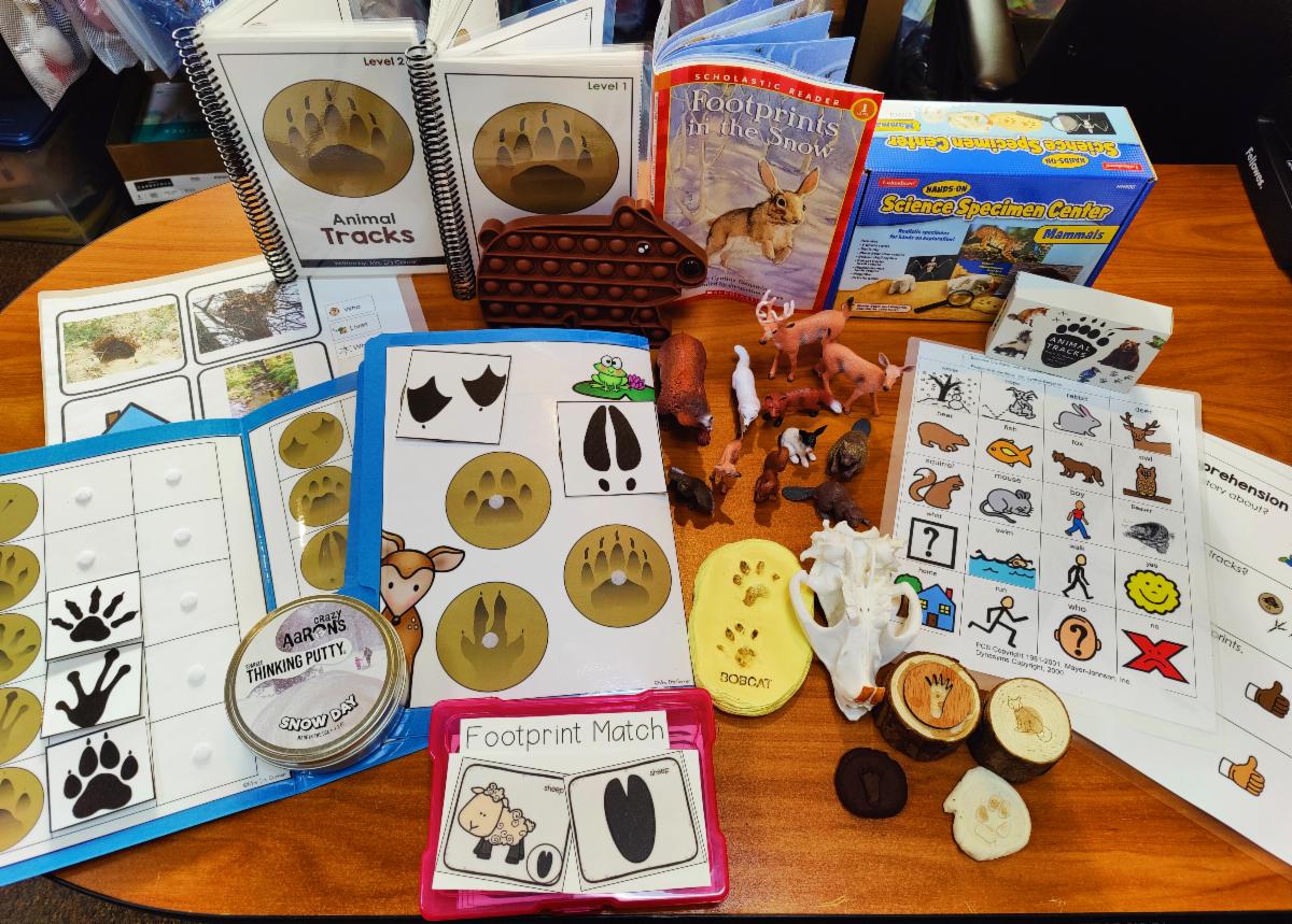 Footprints in the Snow: Reading Kit