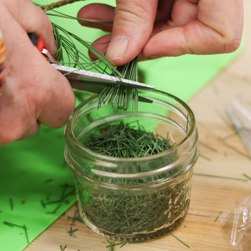 A bundle of pine needles are cut into pieces with scissors into a small glass jar.