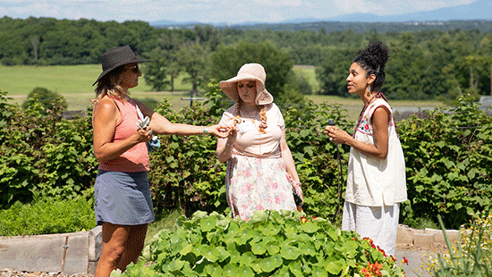 A moving gif depicting adults learning in and around gardens