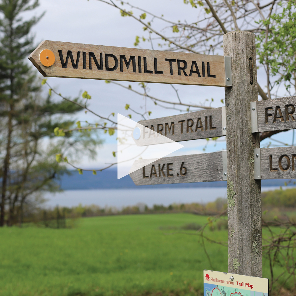Directional trail signs at a park, featuring "Windmill Trail" and other routes, with a lush green field and a lake in the background.