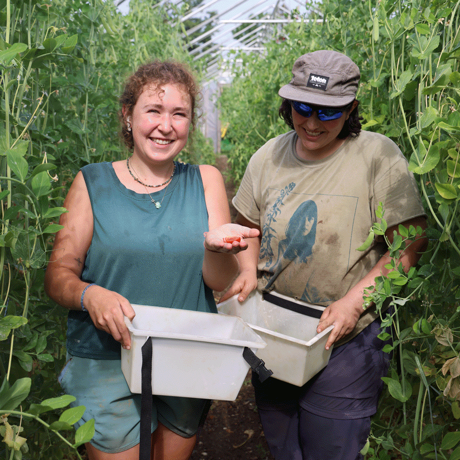A rotating collection of images highlighting farmers harvesting and delivering fresh produce.