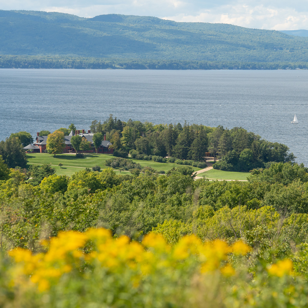 View of the Inn at Shelburne Farms surrounded by trees, with a lake and mountains in the background, foreground featuring yellow wildflowers.
