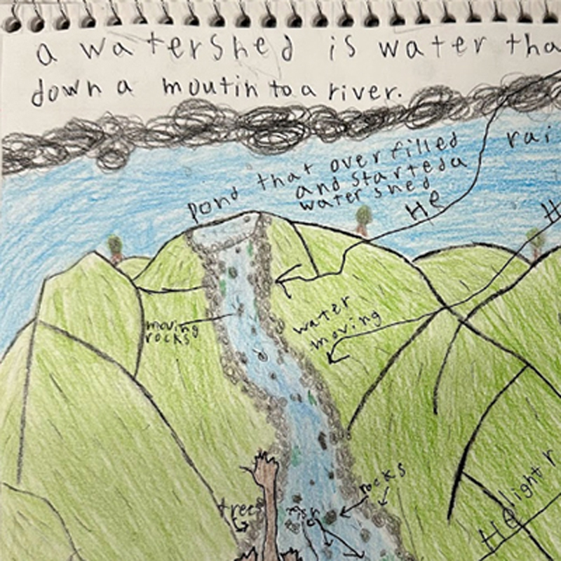 a student drawing of a watershed