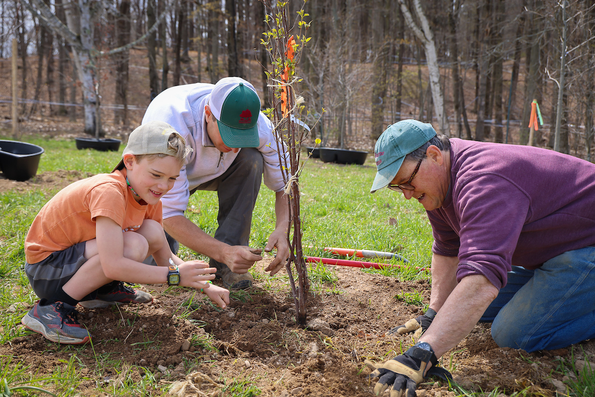 A child and two adults kneel on the ground, planting a sapling
