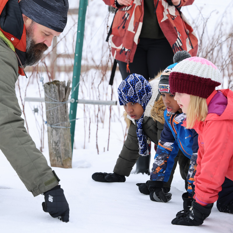 Three children and an adult examining something on the ground in the snow.
