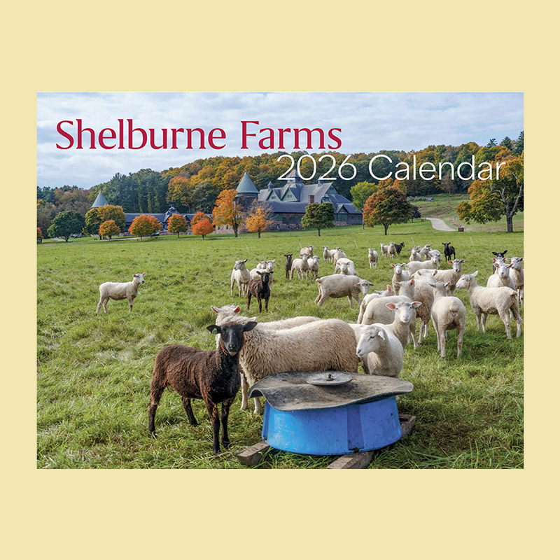 Cover of the 2026 calendar featuring sheep grazing in front of the Farm Barn