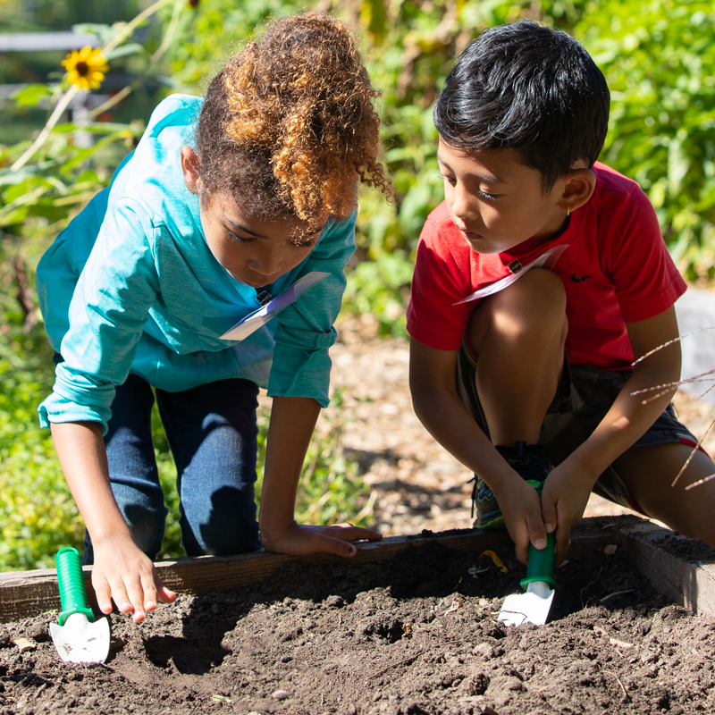 Two young students kneel at the edge of a raised garden bed