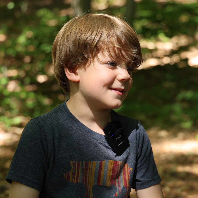 A young boy sits in a forest