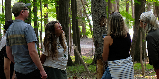 A group of adults stand around a dead tree in the forest inspecting it closely