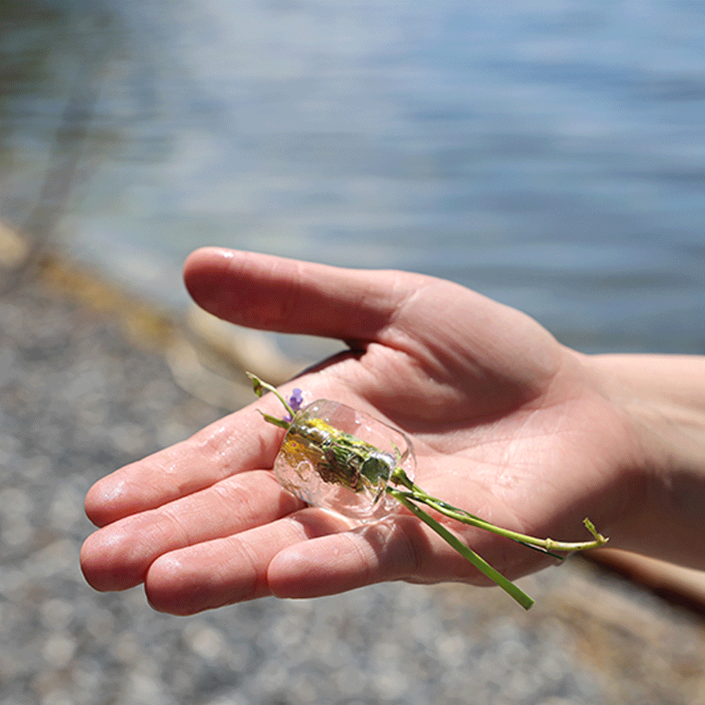 A rotating collection of images highlighting student climate projects