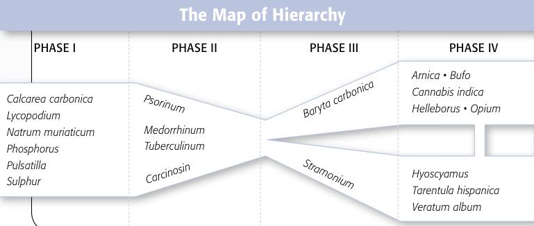 Map of Hierarchy