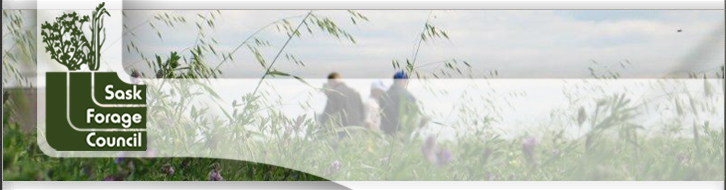 People in Alfalfa-Grass Field