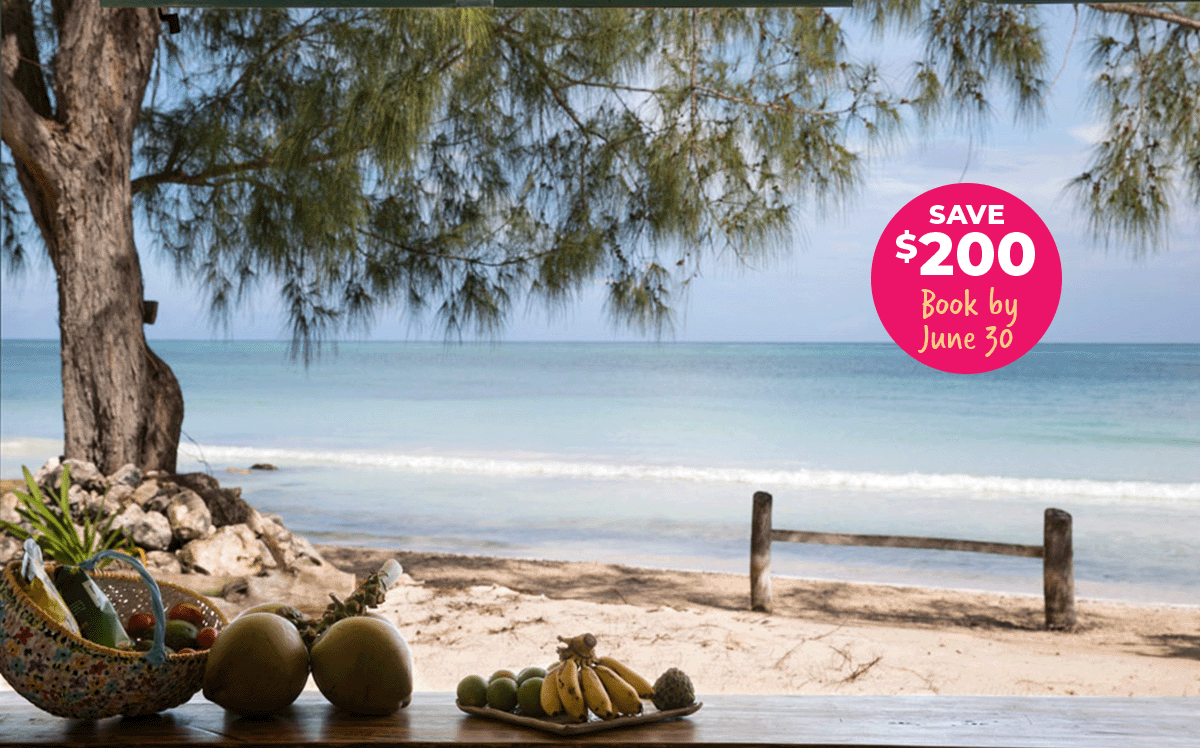 Beach at Jamaica Yoga Retreat