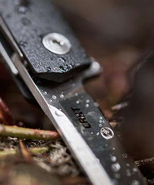 ceo flipper email lifestyle.jpg