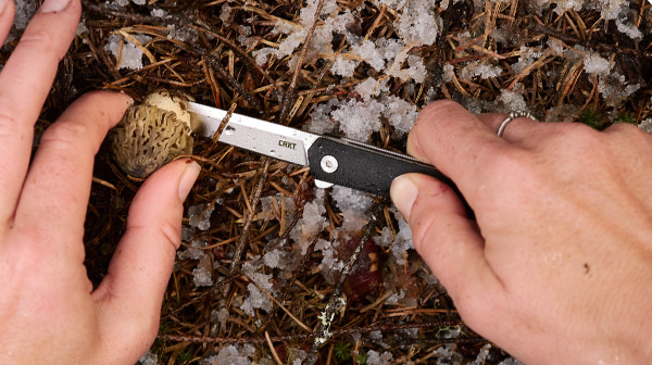 ceo flipper lifestyle email.jpg