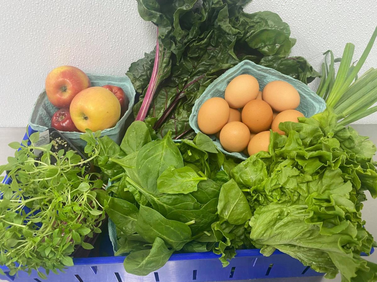 Summer News from Wheelhouse Farm Market