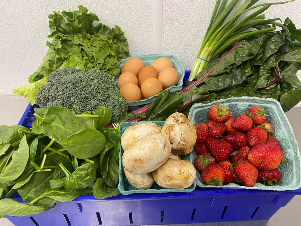 Summer News from Wheelhouse Farm Market