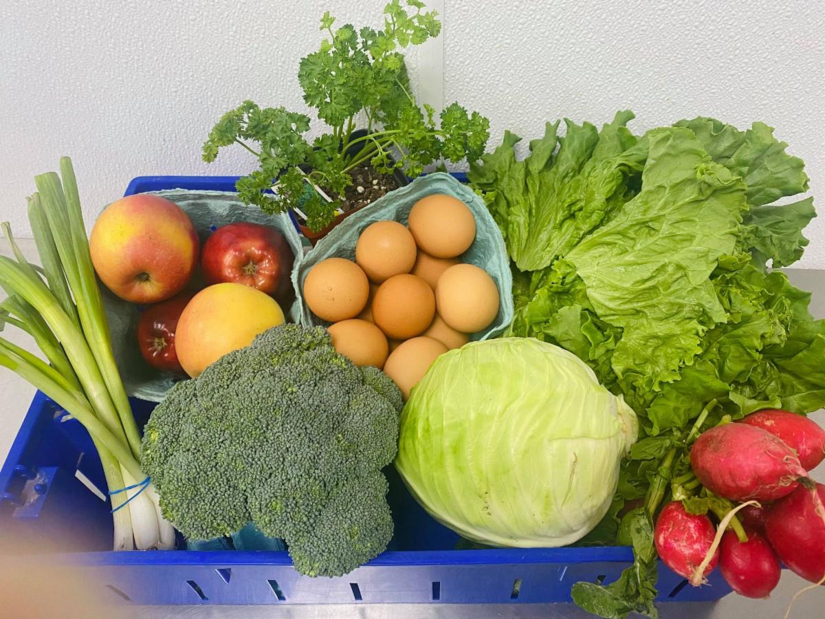 Summer News from Wheelhouse Farm Market