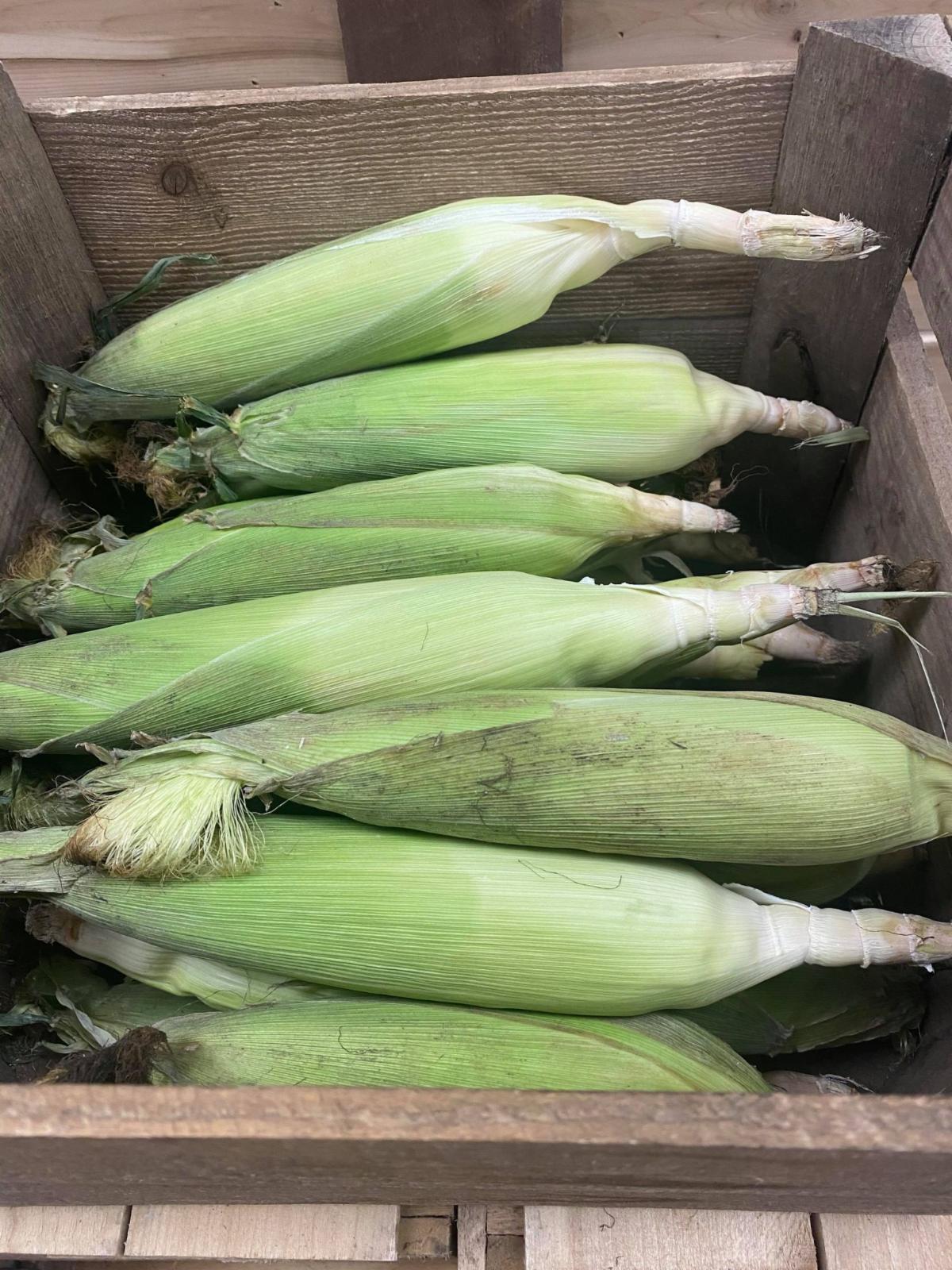 Summer News from Wheelhouse Farm Market