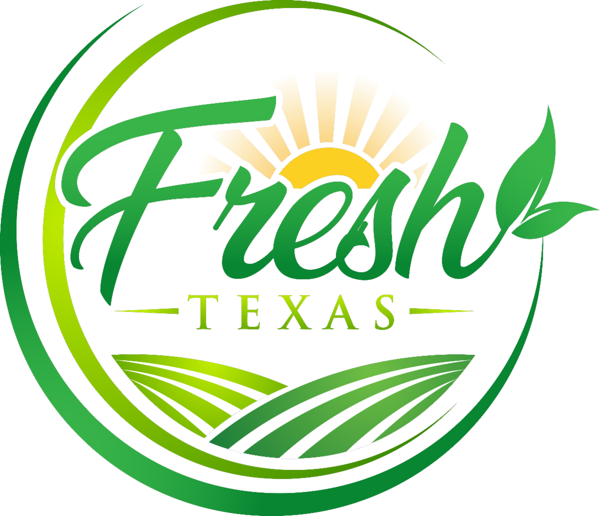 Texas Next Capital LP