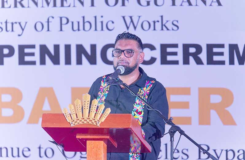 President Dr. Irfaan Ali (Delano Williams photo)