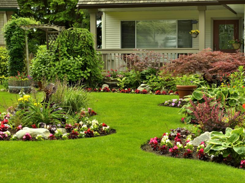 manicured_yard.jpg