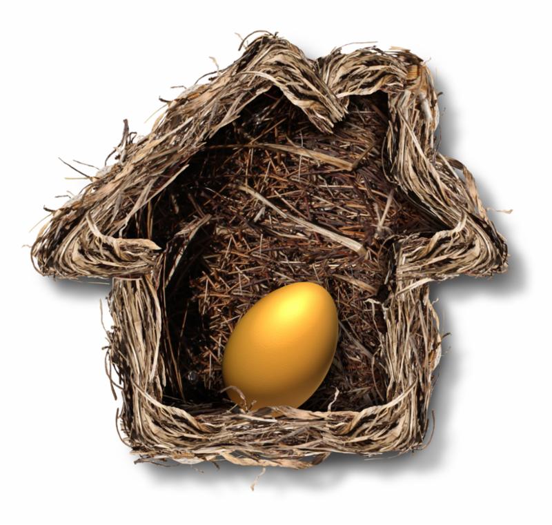 home_finances_egg.jpg