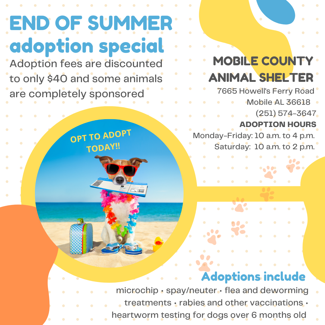 September 2022 News Briefs from Commissioner Merceria Ludgood!