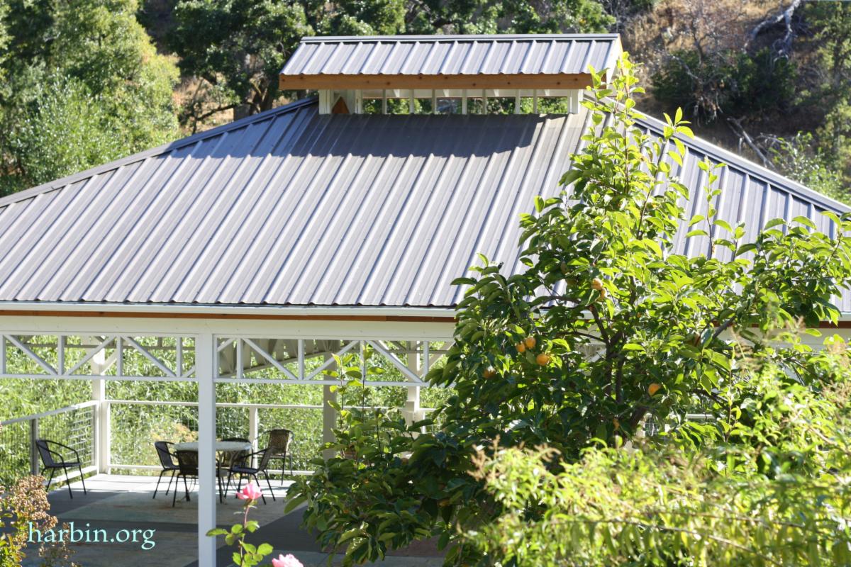 An open air wooden structure with a metal roof sits outside with folliage in the foreground.